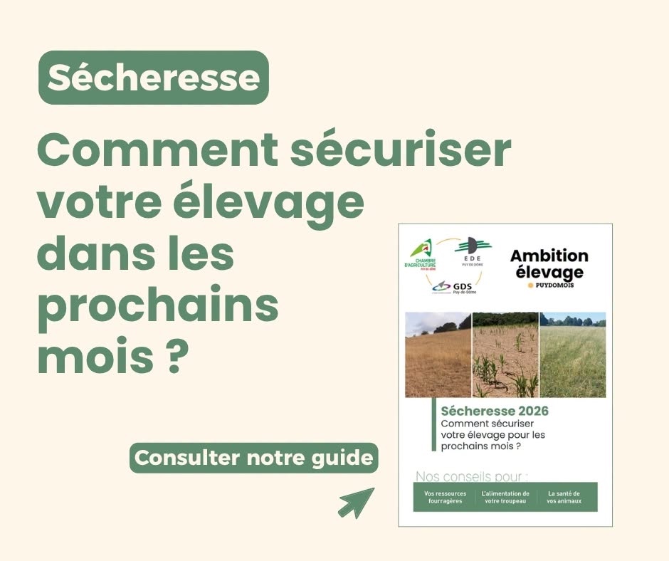 Sécheresse : éleveurs, venez échanger avec nos conseillers près de chez vous